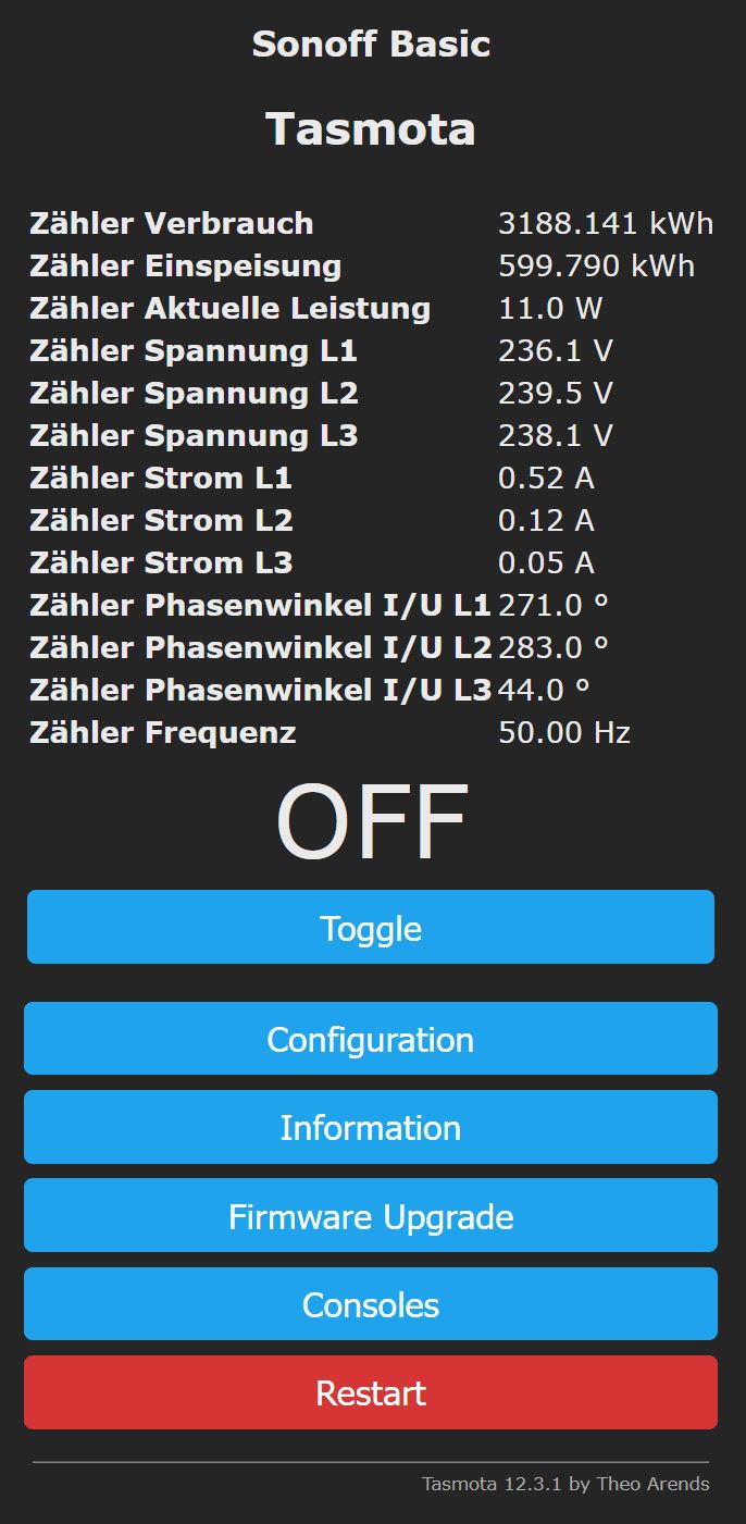 Anzeige der Daten vom Zähler